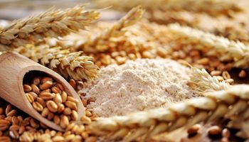 Chicago: el trigo se mantiene con ganancias