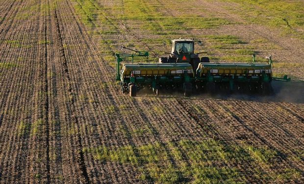 Cómo (no) dan los números de trigo: se pierden hasta US$ 90 por hectárea en campo alquilado y no hay tanta humedad como en el año del récord