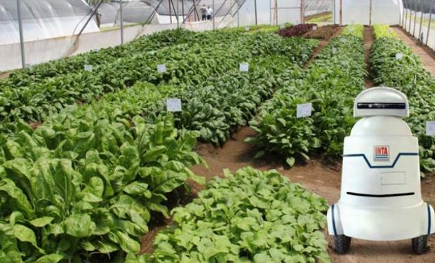 El Inta presenta un robot para mejorar cultivos intensivos