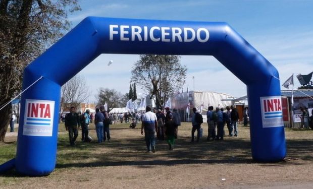 En la próxima década, el consumo interno de cerdo llegaría a 25 kilos por persona.