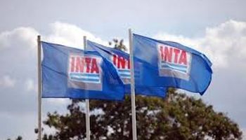 El INTA busca 10 directores y paga hasta $ 140.000: los requisitos
