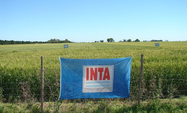 ¿Frente de Todos-INTA? Temor en el campo por posible avanzada K sobre el Instituto de Tecnología Agropecuaria