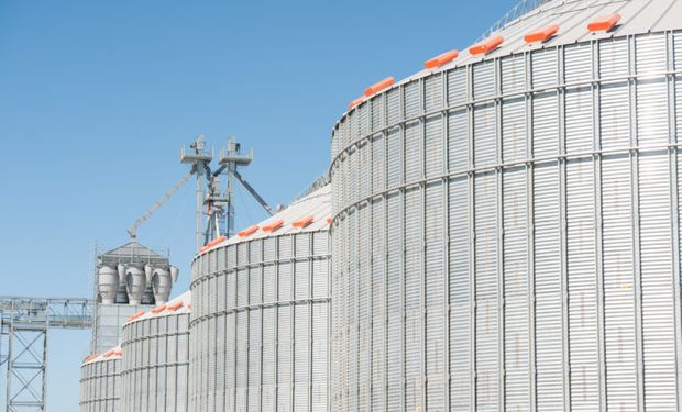 Por qué sube fuerte la soja: la tendencia contagia al maíz y el trigo