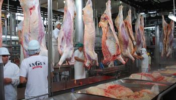 El noreste patagónico potencia su ganadería y busca definir un plan de competitividad