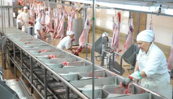 Sin retenciones, la cadena de la carne podría generar 200 mil nuevos puestos de trabajo