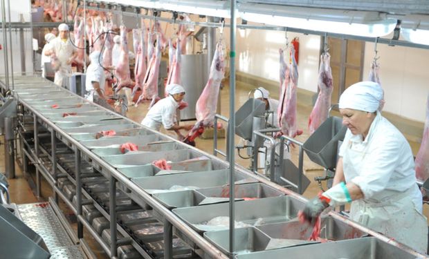 Las entidades que forman la Mesa de las Carnes consideran valioso estudiar la posibilidad de aplicar una serie de políticas públicas.