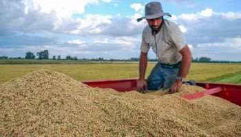 En Argentina, 6 de cada 10 dólares vienen de la agroindustria: el maní y derivados de soja y limón están en el top 1 de lo que más le vendemos al planeta