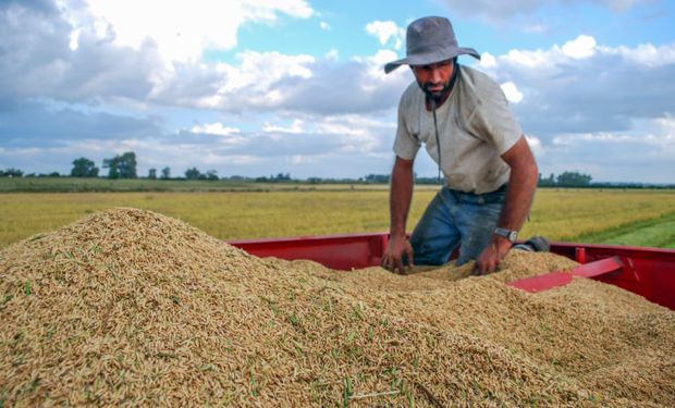 En Argentina, 6 de cada 10 dólares vienen de la agroindustria: el maní y derivados de soja y limón están en el top 1 de lo que más le vendemos al planeta