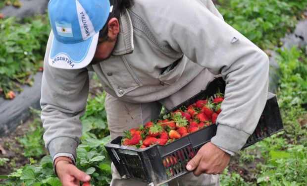 El Consejo Agroindustrial planteó que se revea la suba de retenciones a las economías regionales  