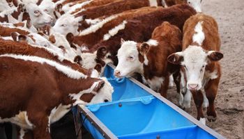 Cómo evitar intoxicación en el rodeo por alimentación contaminada