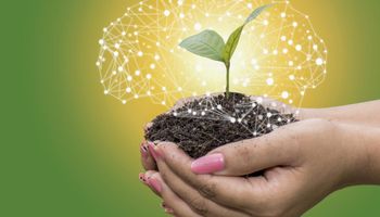 Como a Inteligência Artificial pode transformar o agronegócio?