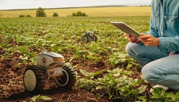 Investimento em IA no agro chegará a R$ 23,5 bilhões ao ano até 2028
