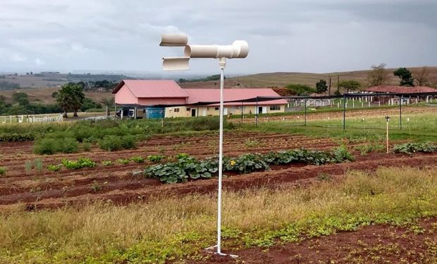 Paraná aposta na inteligência artificial para combate da ferrugem da soja