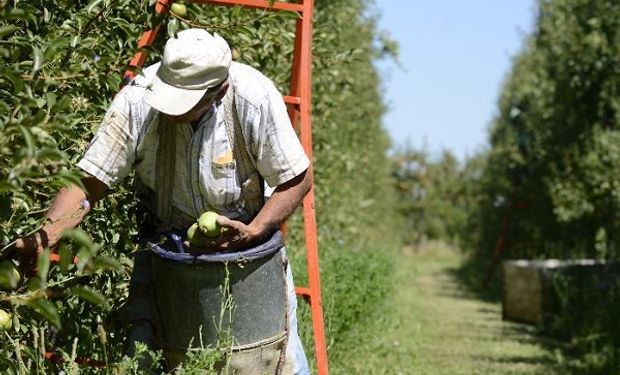 Pasarán a cobrar $24.000: los trabajadores del Programa Intercosecha tendrán un aumento del 71 %