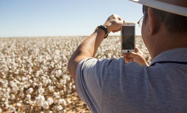 Percentual de residências com TV por assinatura também cresceu em 2021 e chega a 17,8%. (foto - Sistema CNA/Senar)