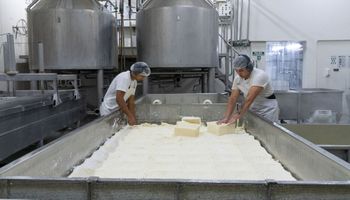 Una pyme láctea de Córdoba desarrolló un producto estratégico y logró exportar a Brasil