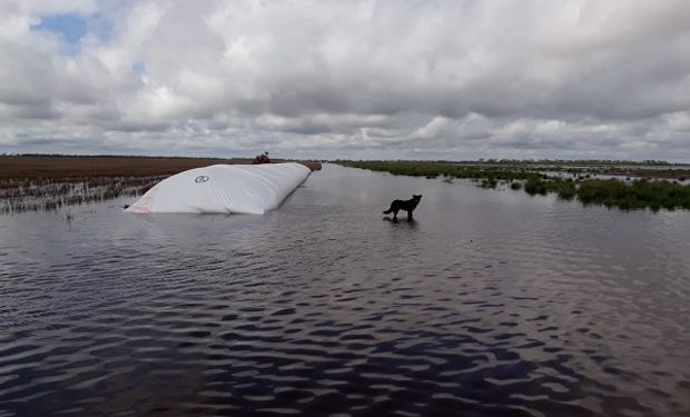 Anticipan que el cambio climático tendrá impacto en la producción agropecuaria hacia 2070