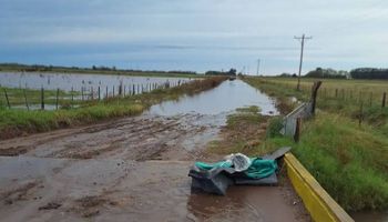 Nación decretó la emergencia agropecuaria en Buenos Aires tras las inundaciones y en San Juan por granizo