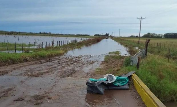 Nación decretó la emergencia agropecuaria en Buenos Aires tras las inundaciones y en San Juan por granizo