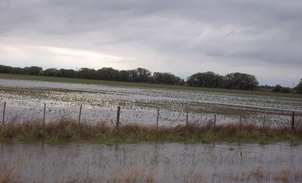 Buscan evitar nuevas inundaciones.