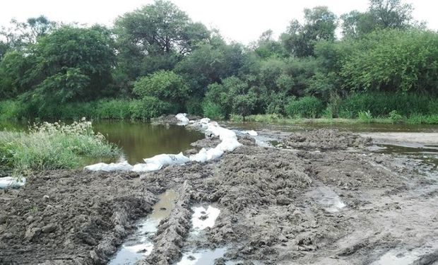 El exceso de lluvias compromete la ganadería y la agricultura. Foto: Hernán Muchut.