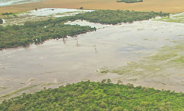 Bajos Submeridionales: avanzan en un programa de desarrollo productivo que resuelva las emergencias agropecuarias