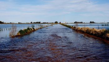 Prorrogan la emergencia agropecuaria en Buenos Aires, Entre Ríos y Río Negro