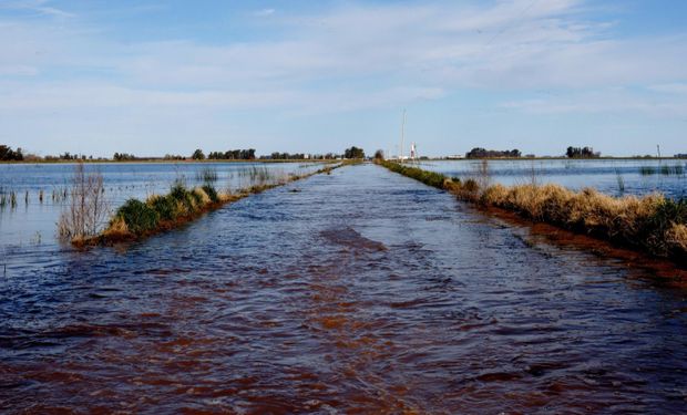 Prorrogan la emergencia agropecuaria en Buenos Aires, Entre Ríos y Río Negro