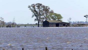 Emergencia agropecuaria por inundaciones: prorrogan la medida hasta febrero en Buenos Aires