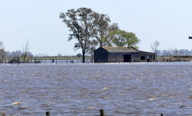 Emergencia agropecuaria por inundaciones: prorrogan la medida hasta febrero en Buenos Aires