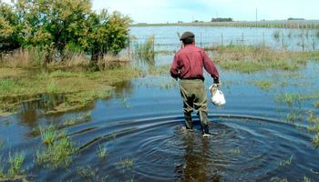 Suspensiones por causa de fuerza mayor en el ámbito rural: inundaciones e incendios