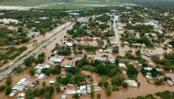 Inundaciones: facilitan el movimiento de animales en zonas en provincias del NOA