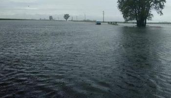 El drama del agua: en Agroindustria le apuntan a Santa Fe por una demora