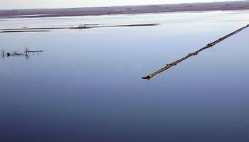 Por cuarto día sigue cortada la ruta 7, por el desborde de la laguna La Picasa