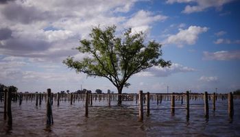 Inundaciones: hay 600.000 hectáreas productivas afectadas
