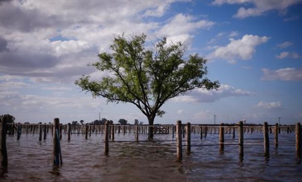 Abarca La Pampa, el noroeste de Buenos Aires y el sur de Córdoba.