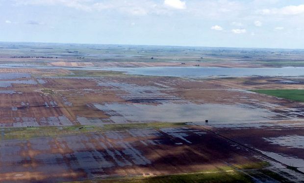 Inundaciones: Agroindustria admite la pérdida de un millón de hectáreas, pero espera una cosecha récord.