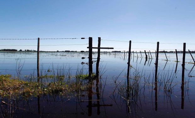 Buscan garantizar la continuidad de las explotaciones de los productores agrícolas y ganaderos de todo el territorio nacional.