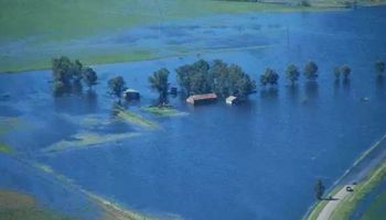 Trigo: 230 mil hectáreas fueron afectadas por excesos hídricos