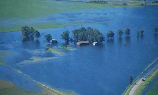 El progreso nacional de siembra alcanzó el 99,8 % de las 5.350.000 hectáreas proyectadas para la campaña en curso.
