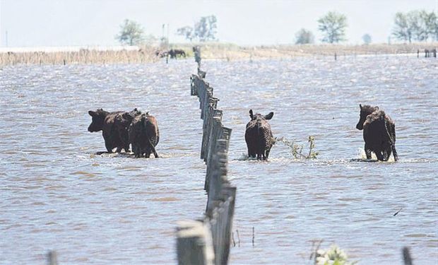 Siembra para pocos. Ya estiman que en muchos campos directamente no se podrá sembrar.