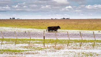 Recomendaciones para productores afectados por las inundaciones