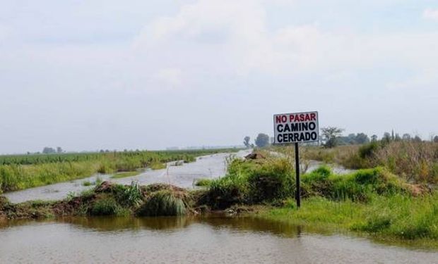 El objetivo de la obra es dotar de mayor capacidad al río para evitar desbordes e inundaciones en zonas aledañas y productivas.