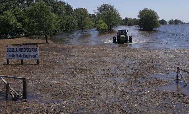 Alertan sobre un impacto importante en los rindes y en la economía de las empresas agropecuarias. Foto: Archivo/Diego Lima.