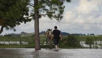 Santa Fe: el agua baja lento y deteriora la producción