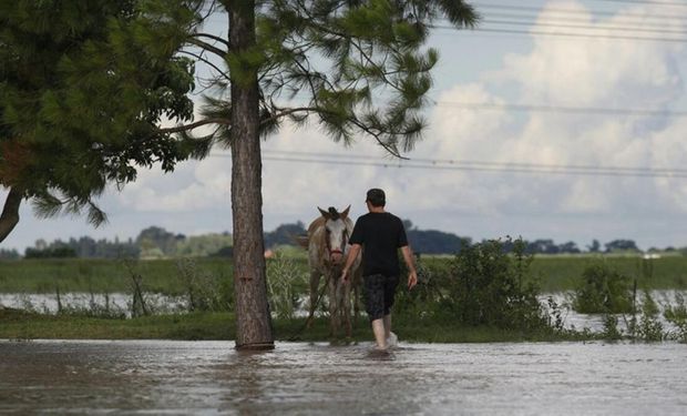 Las inundaciones deterioran la producción en Santa Fe. Foto: Archivo / Emiliano Lasalvia / Enviado especial.