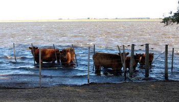 Inundaciones: denuncian que no se aplicaron a obras $ 1440 millones