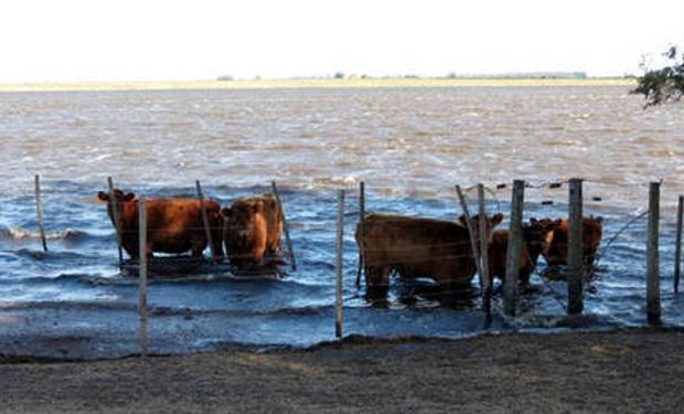 Inundaciones: denuncian que no se aplicaron a obras $ 1440 millones