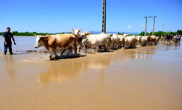 Asistencia a productores afectados por las inundaciones.