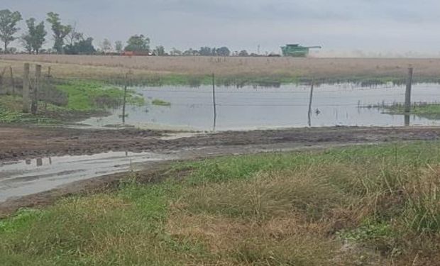 Lote de soja de segunda en pleno proceso de cosecha, con sectores totalmente anegados, al igual que el camino de acceso al mismo.